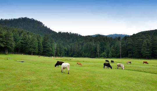 himachal-8d